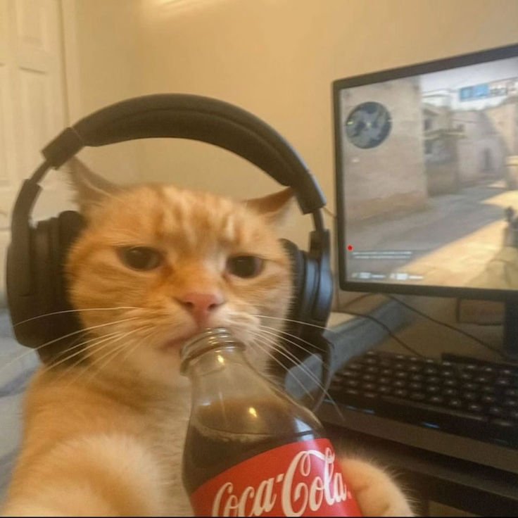Discord PFP Cute