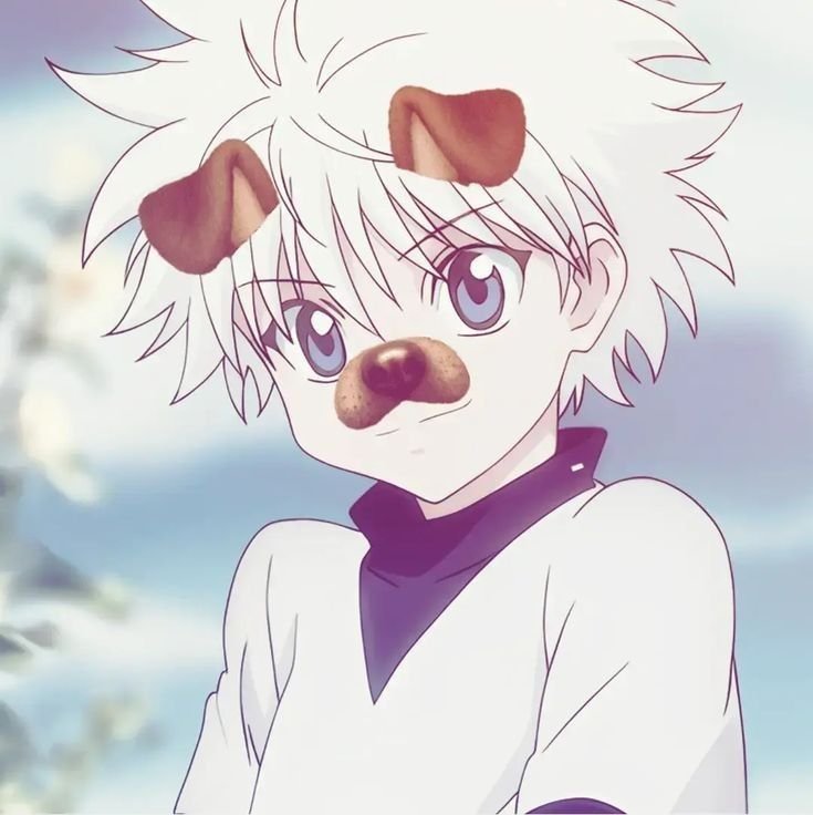 Killua PFP Cute