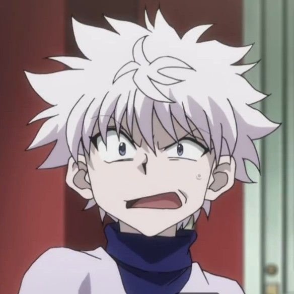 Killua PFP Funny