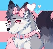 Trans Furry PFP