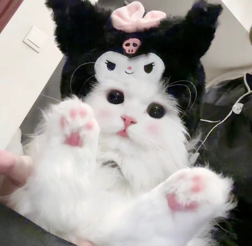 Cute Kuromi Cat PFP