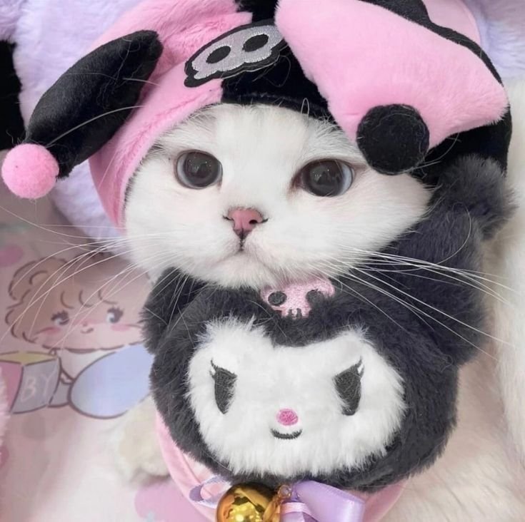 Cute Kuromi Cat PFP