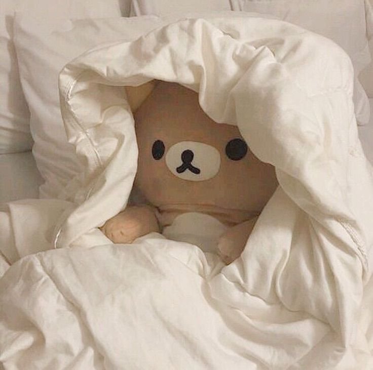 Cute PFP Bear