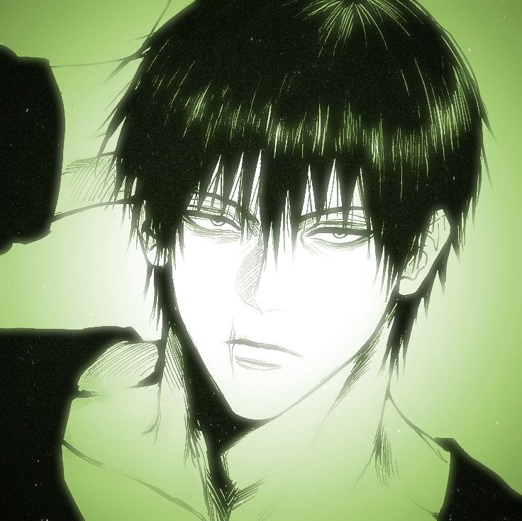 Green aura toji pfp