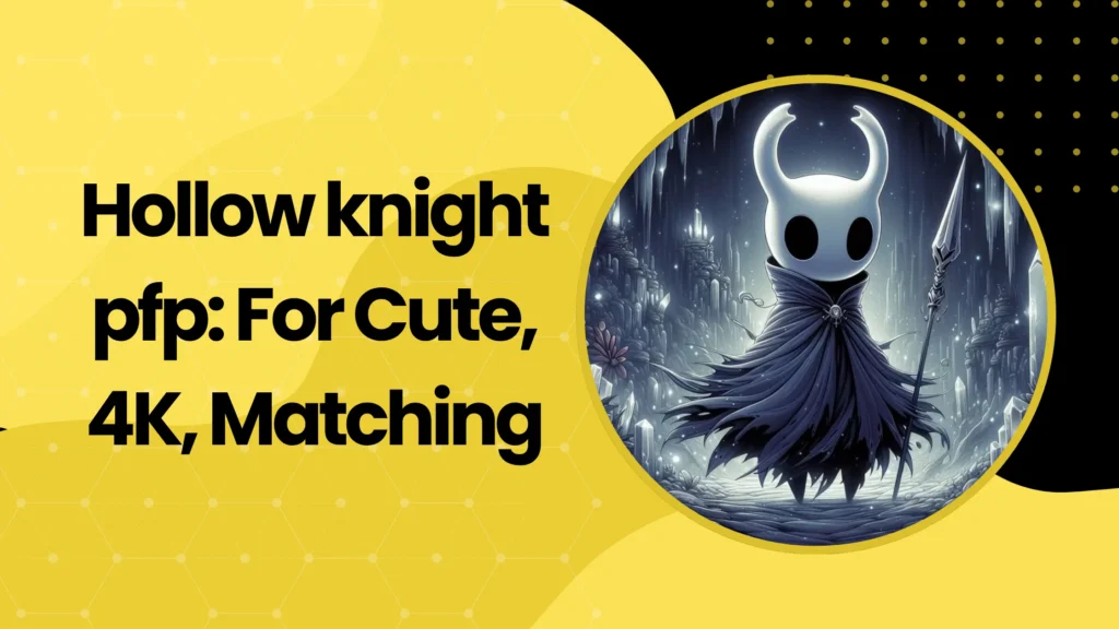 Hollow knight pfp