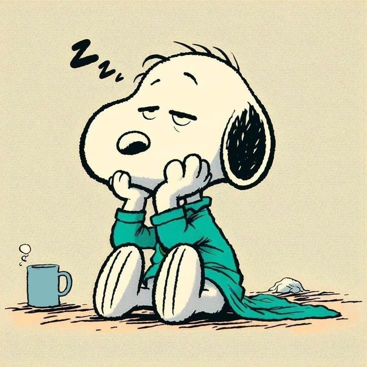 Snoopy PFP Cozy Aesthetic