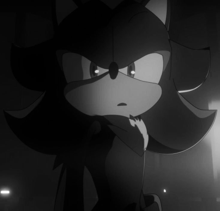 Shadow PFP Black and White