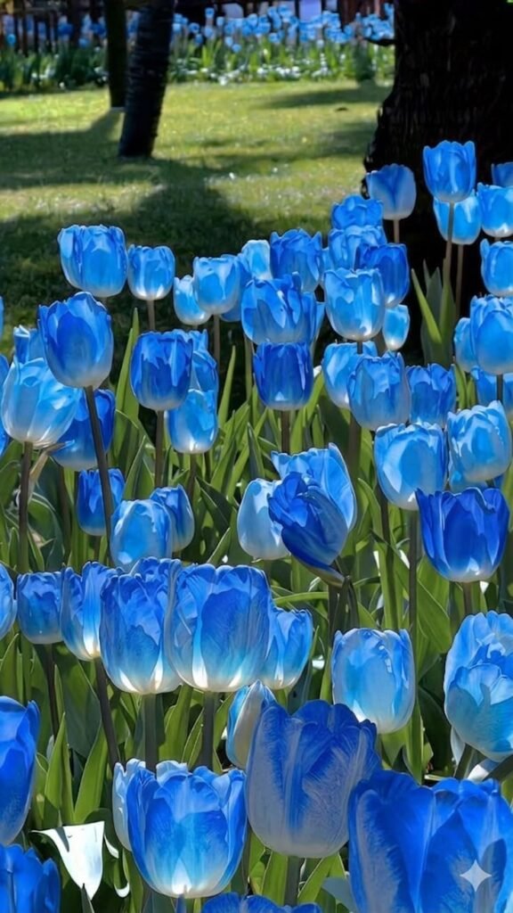 Aesthetic Blue Flower PFP