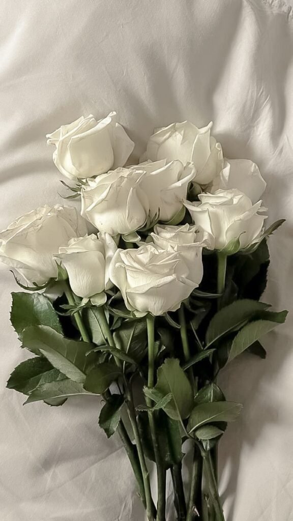 Aesthetic White Flower PFP