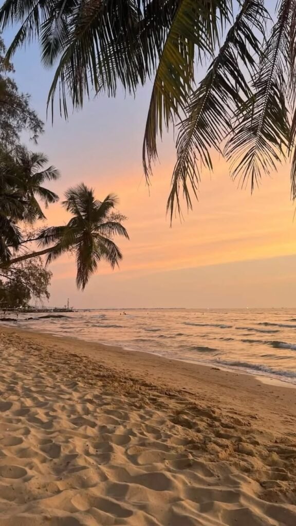 Beach Summer PFP