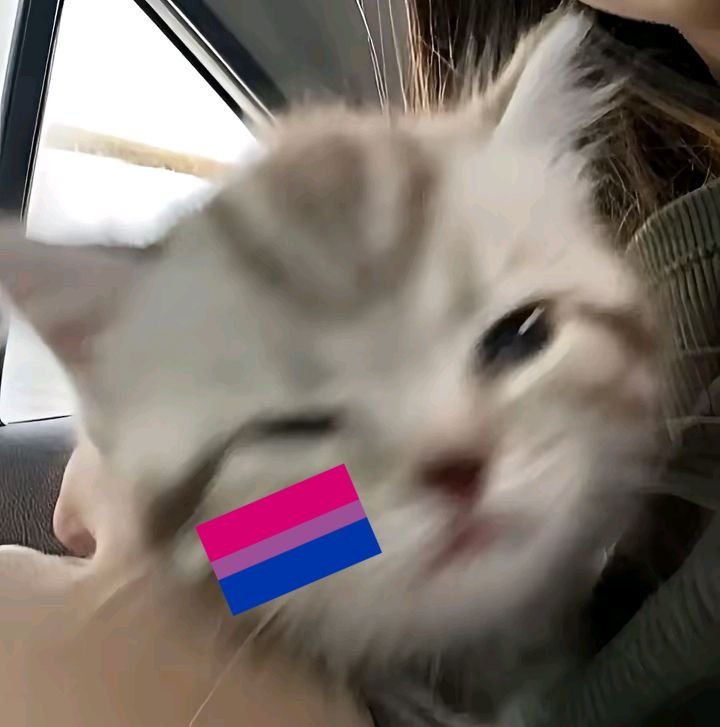 Bisexual PFP Cool
