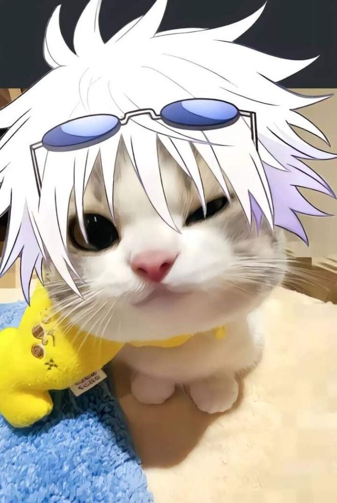 Cat Gojo PFP