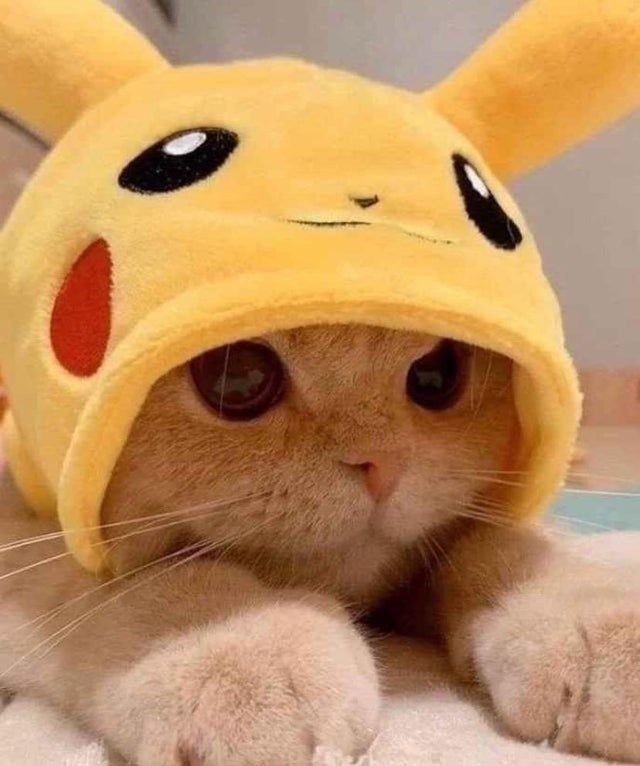 Cute Pikachu PFP