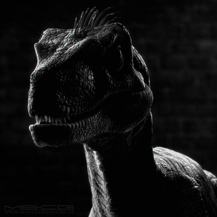 Dinosaur PFP Black And White