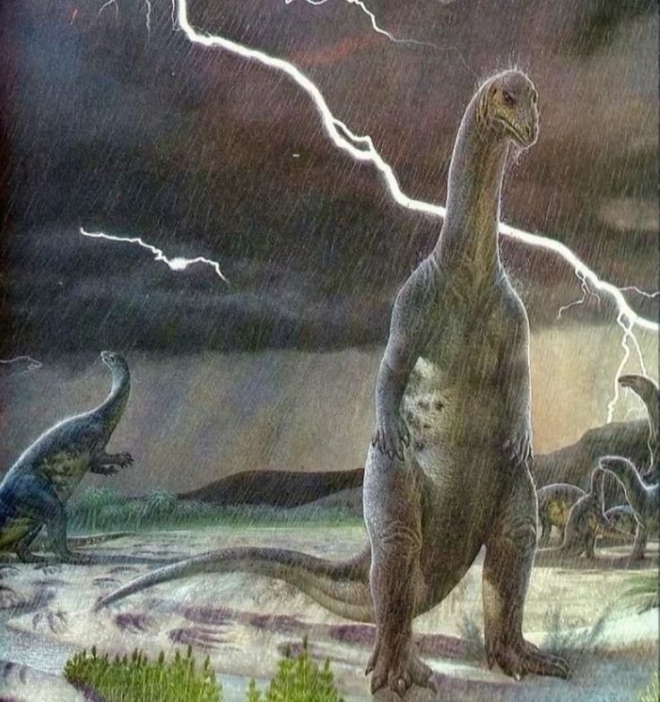 Dinosaur PFP Sad