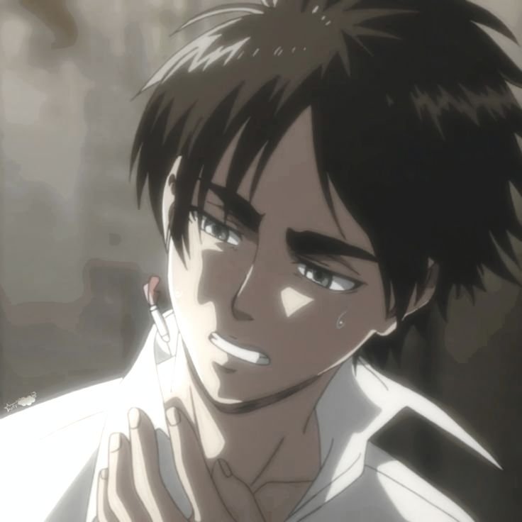 Eren PFP Emotional