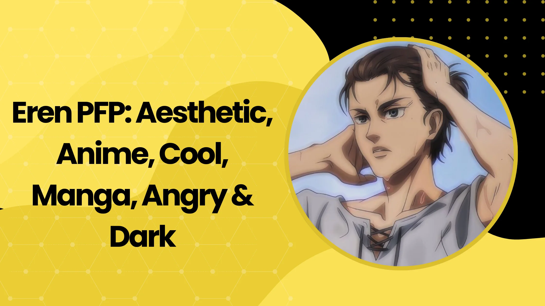 Eren PFP