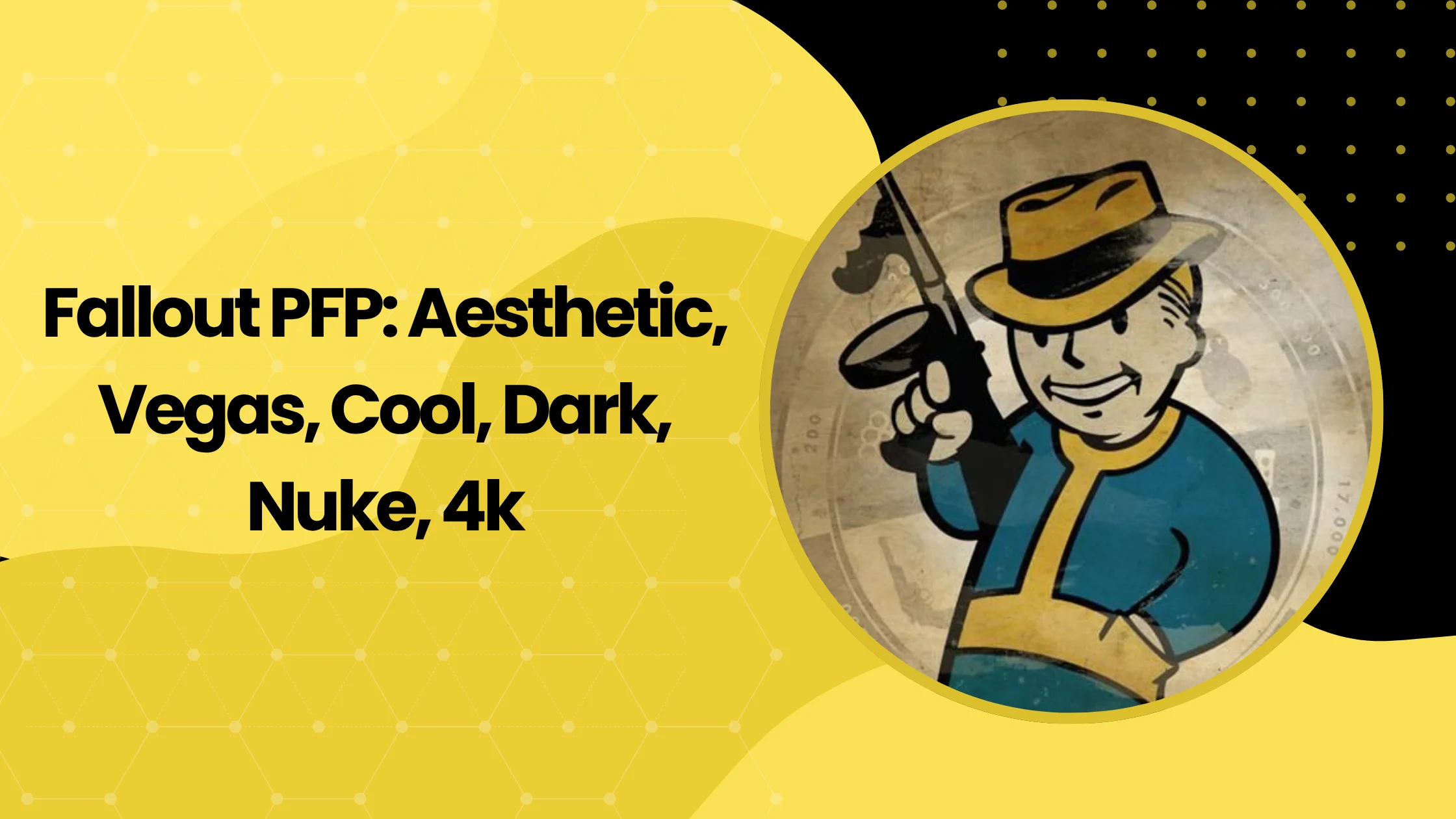 Fallout PFP