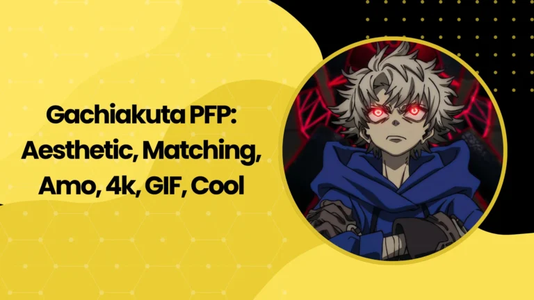 Gachiakuta PFP