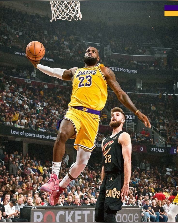 LeBron Dunk PFP