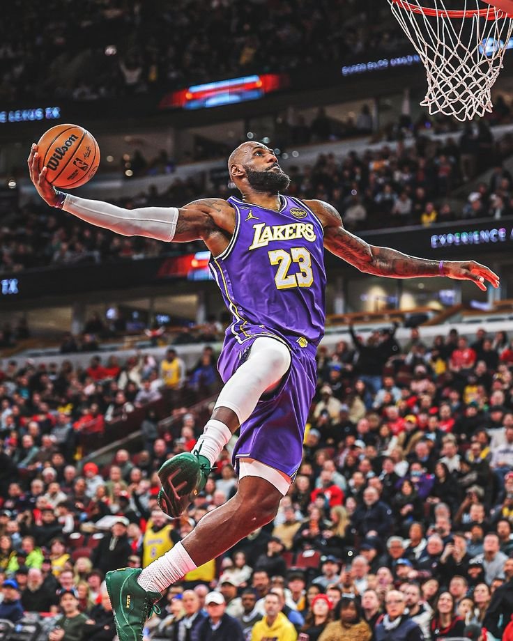 LeBron Dunk PFP