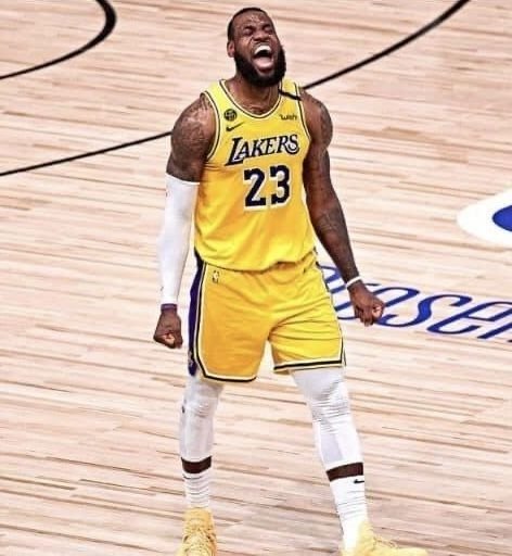 LeBron James PFP
