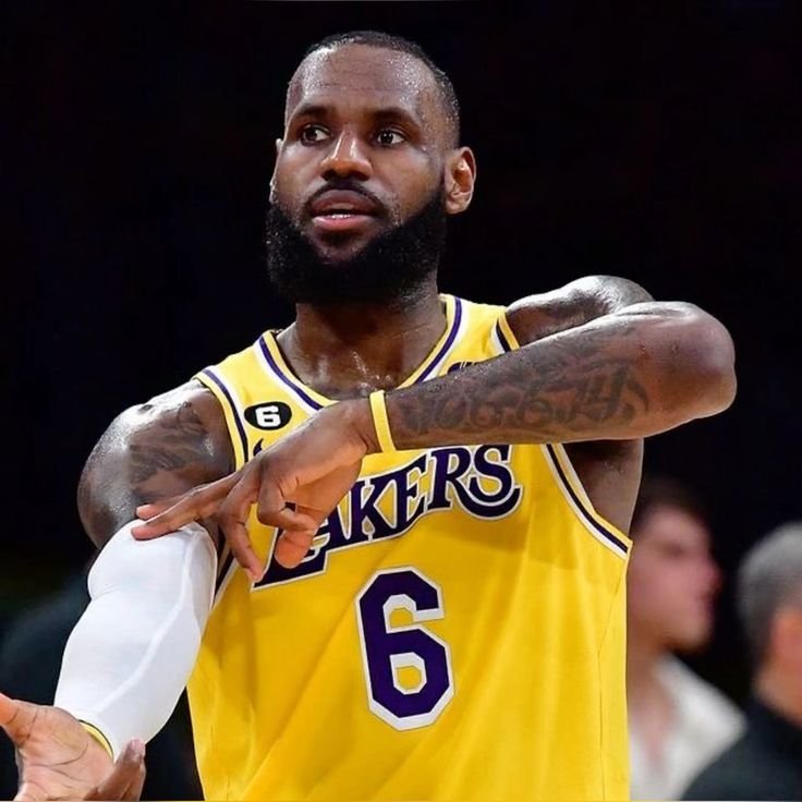 LeBron PFP Basketball