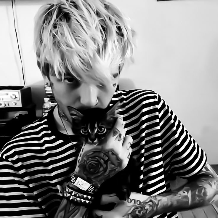 Lil Peep PFP Dark