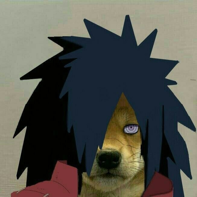 Madara PFP Funny