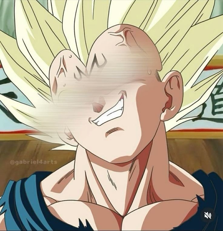 Majin Vegeta PFP
