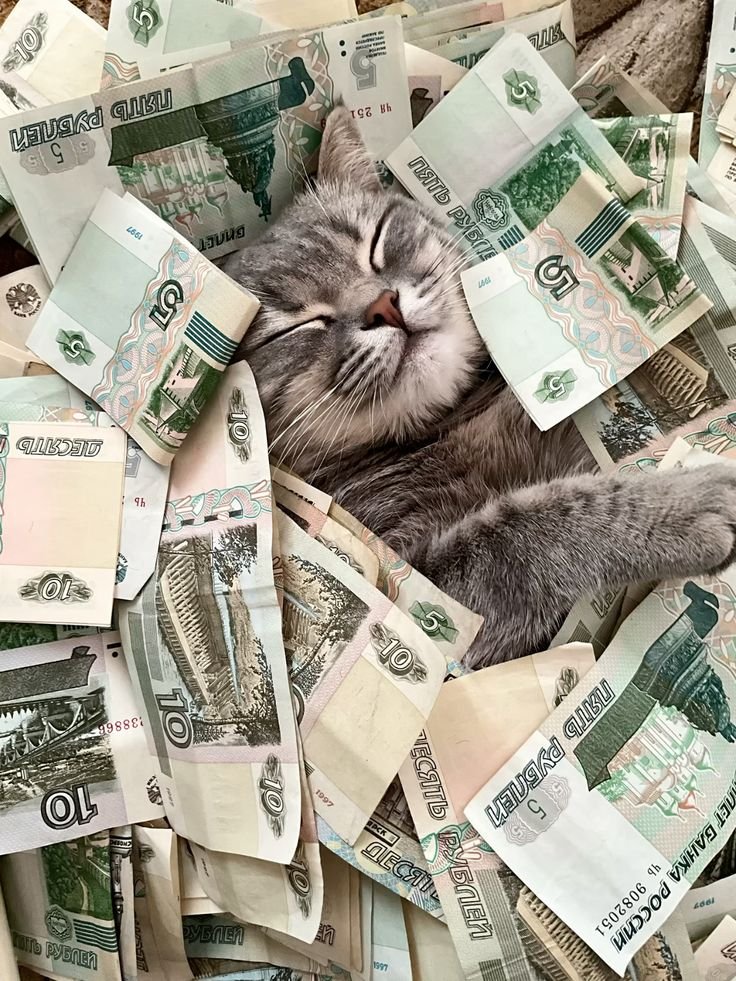 Money PFP For Instagram
