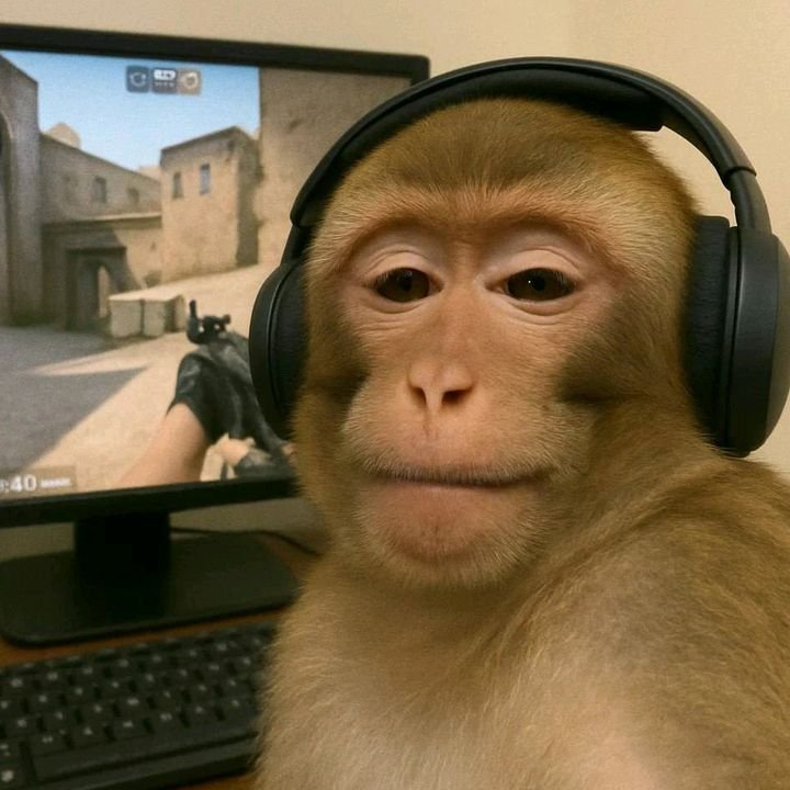Monkey PFP Xbox
