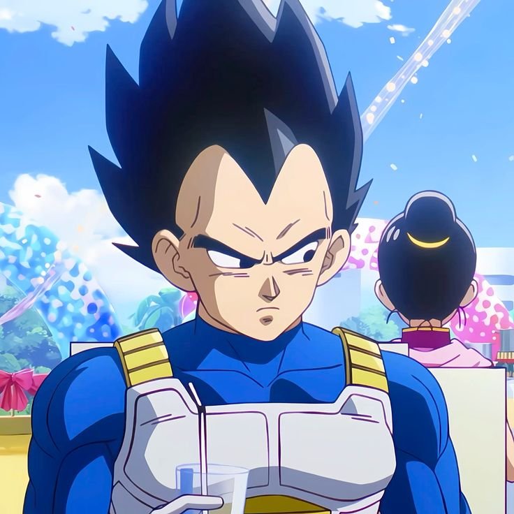 Prince Vegeta PFP