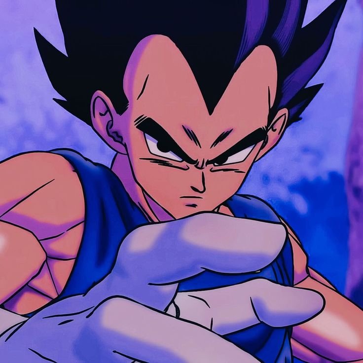 Prince Vegeta PFP