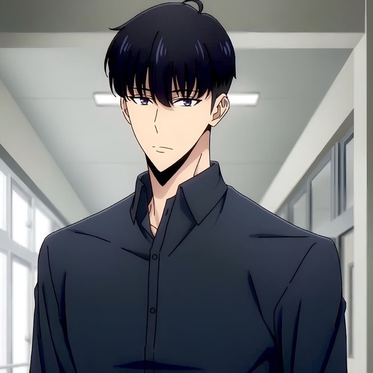 Solo Leveling PFP Anime