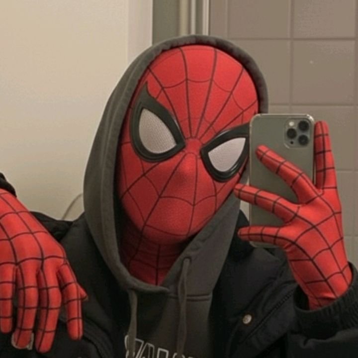 Spider Man PFP Aesthetic