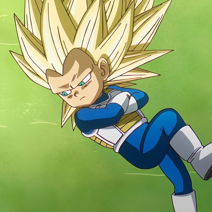 Super Vegeta PFP