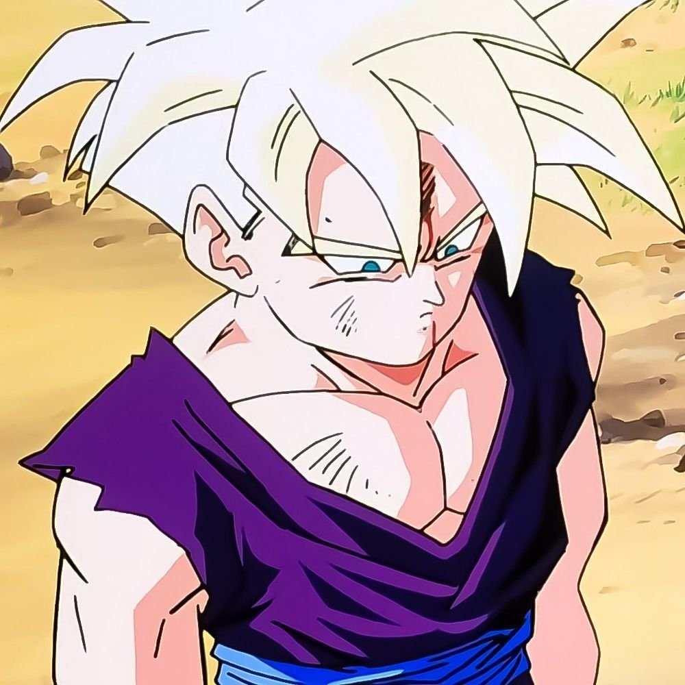 Teen Gohan PFP Aesthetic