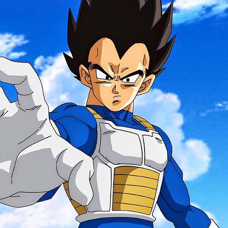 Vegeta PFP 4K