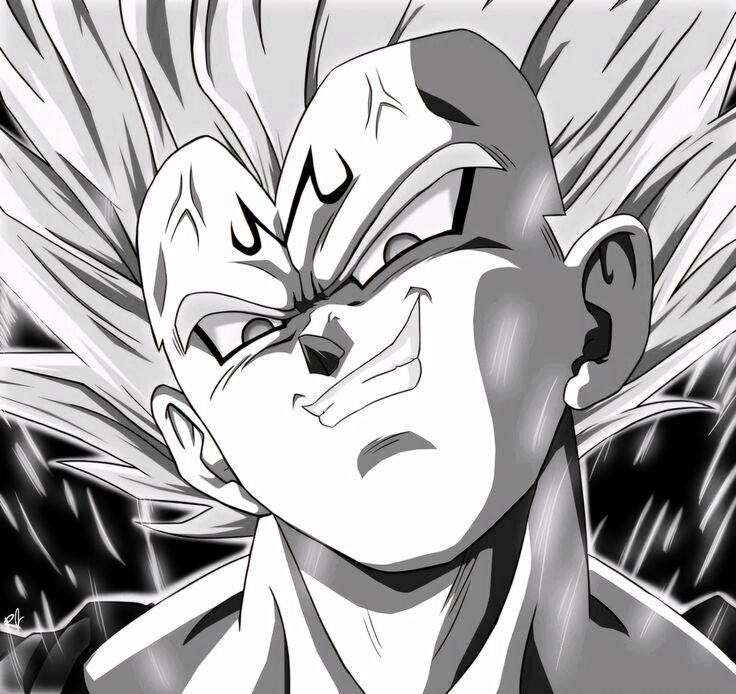 Vegeta PFP Black And White