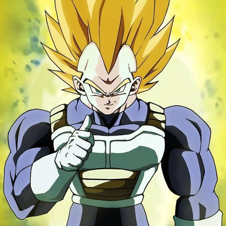 Vegeta PFP DBZ