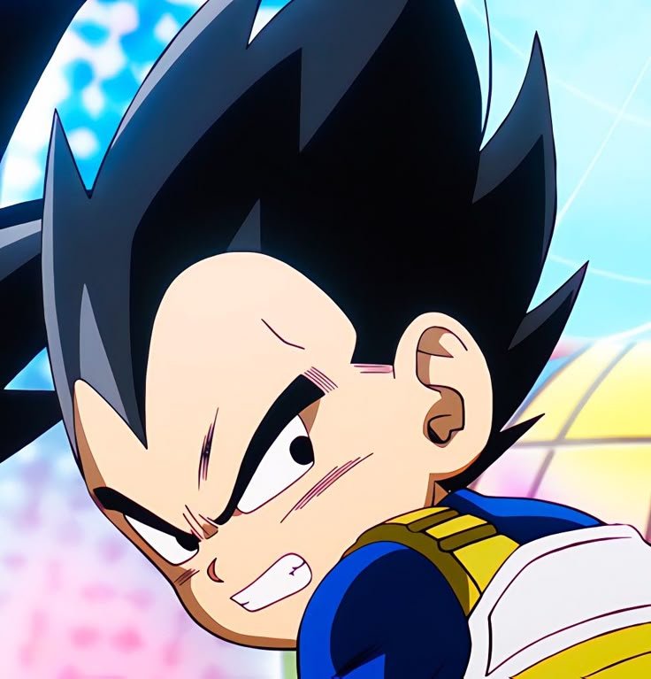 Vegeta PFP DBZ
