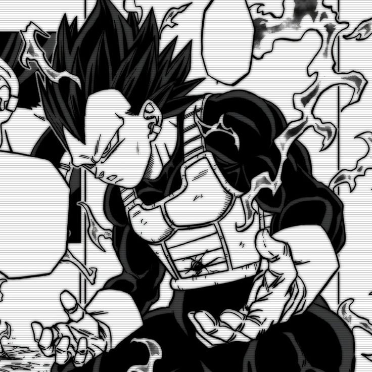 Vegeta PFP Manga