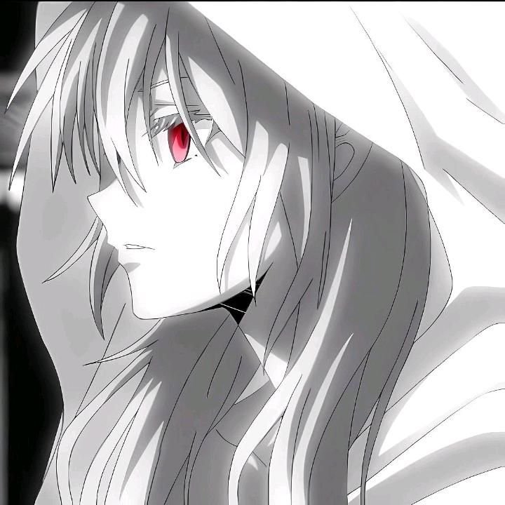White PFP 4K
